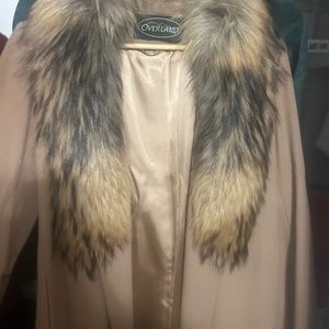 Real Fur Natural Whole Asiatic Racoon